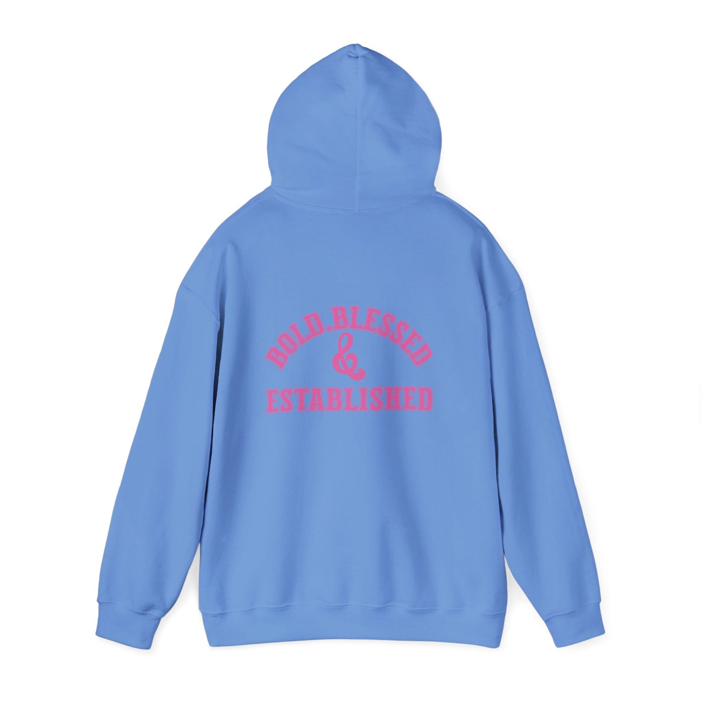 Bold Blessed & Established Christian Hoodie - Pink Varsity Font (Unisex)