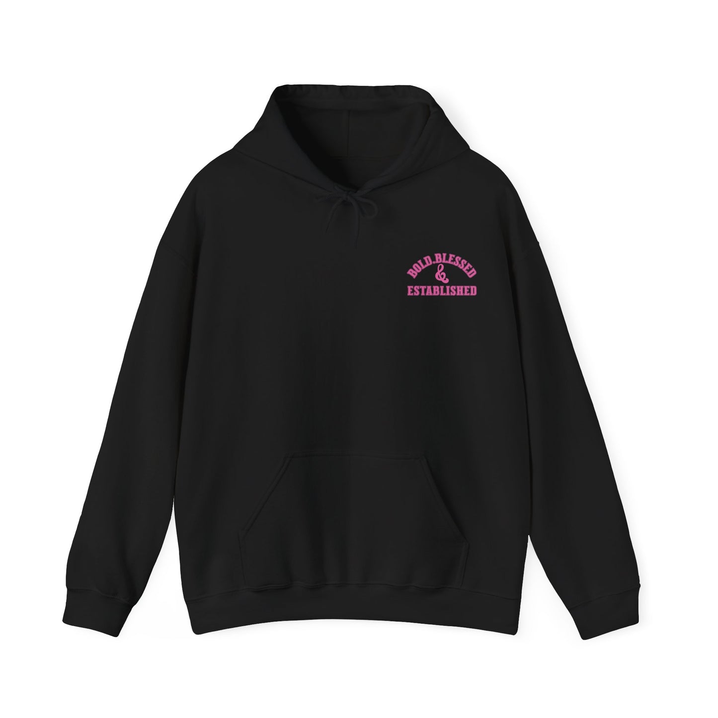 Bold Blessed & Established Christian Hoodie - Pink Varsity Font (Unisex)