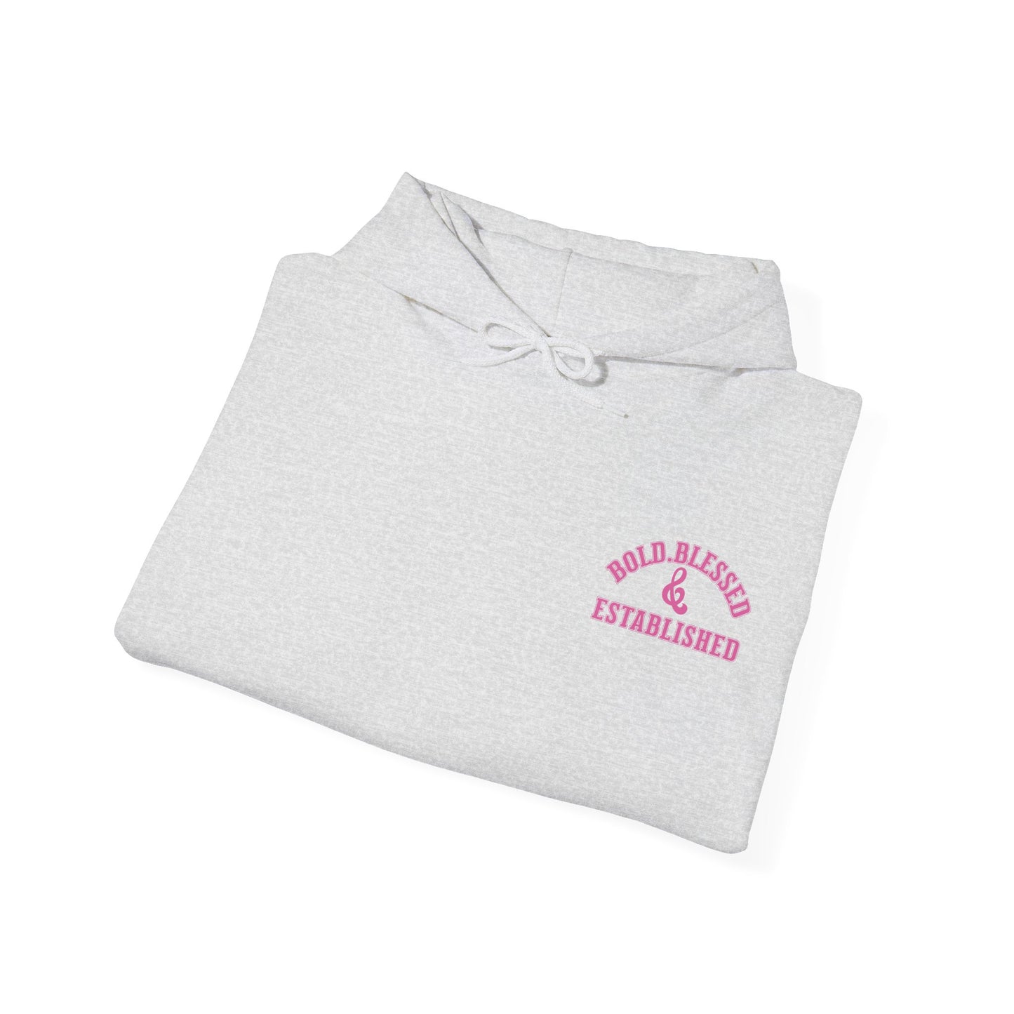 Bold Blessed & Established Christian Hoodie - Pink Varsity Font (Unisex)