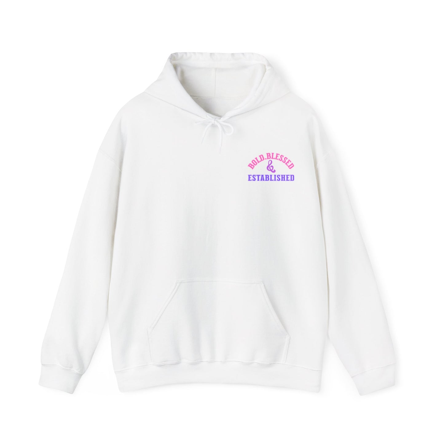 Bold Blessed & Established Christian Hoodie - Multi Varsity Font (Unisex)