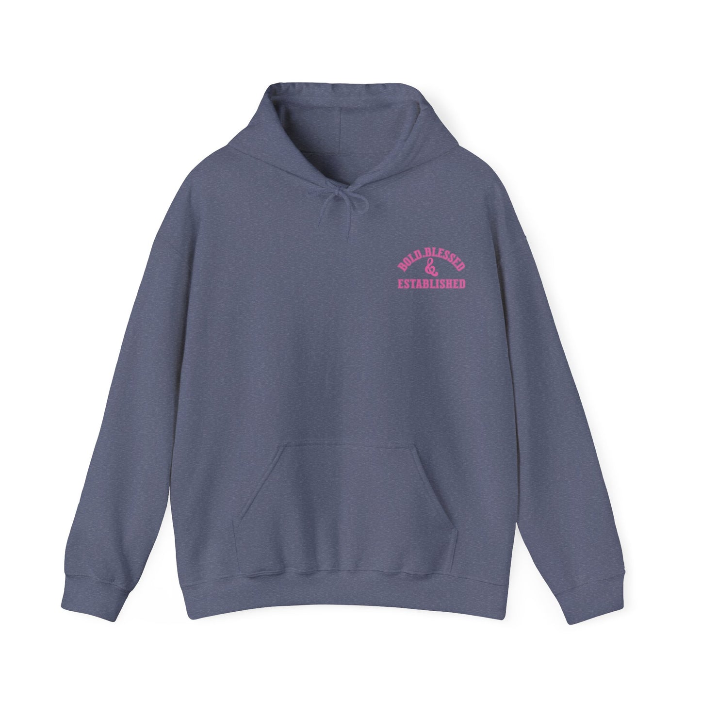 Bold Blessed & Established Christian Hoodie - Pink Varsity Font (Unisex)