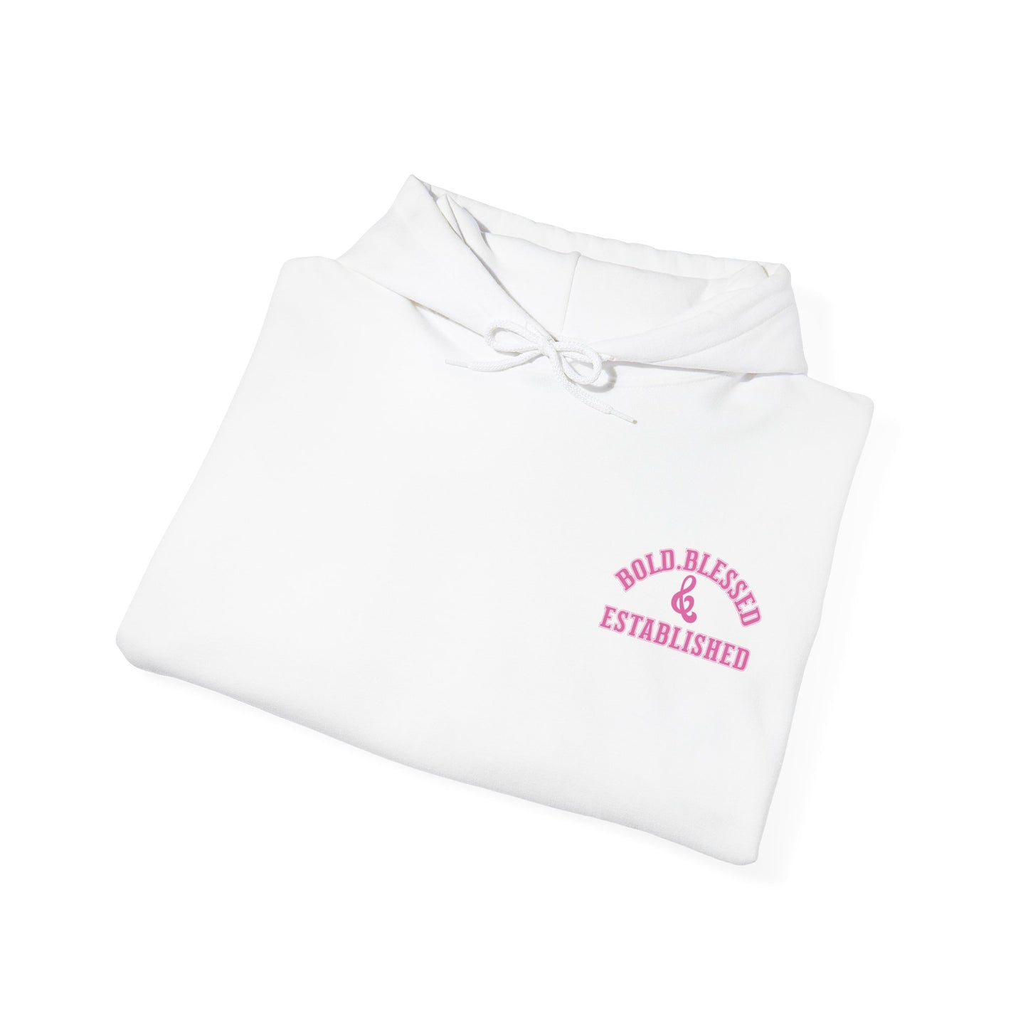 Bold Blessed & Established Christian Hoodie - Pink Varsity Font (Unisex)