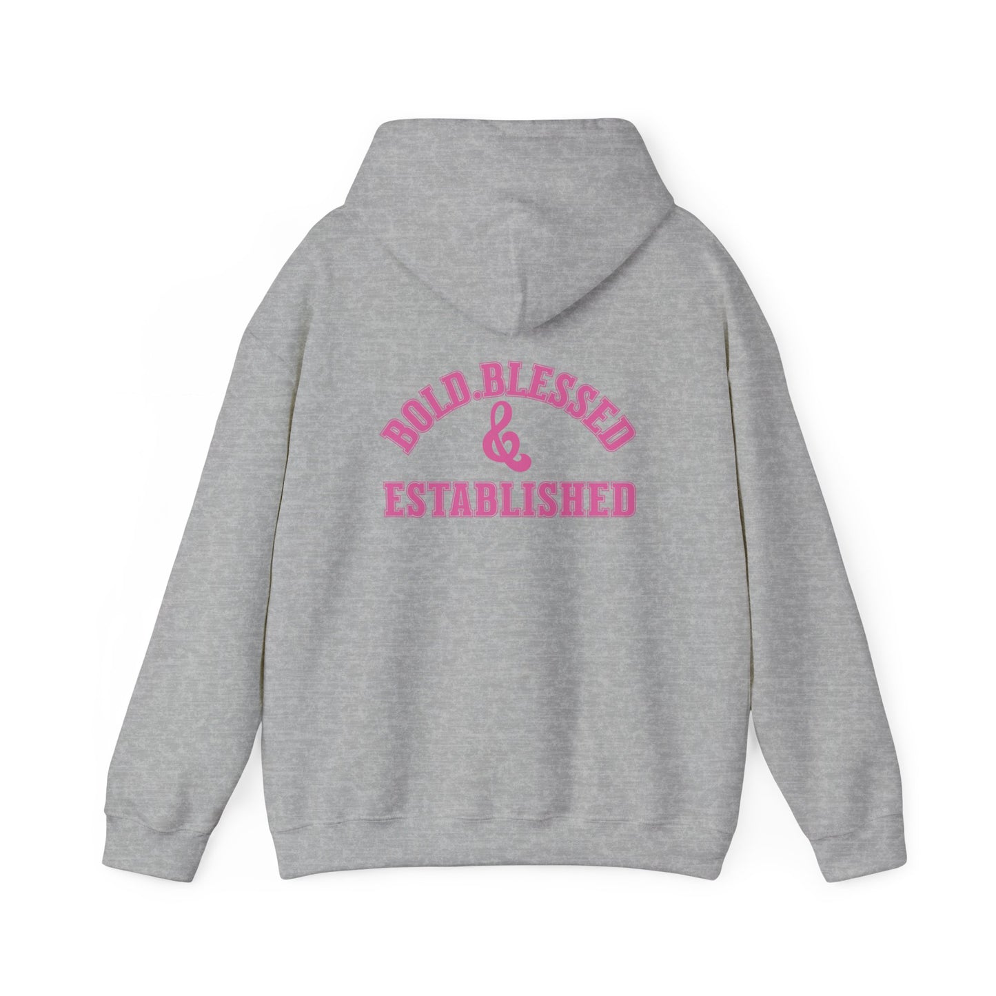 Bold Blessed & Established Christian Hoodie - Pink Varsity Font (Unisex)