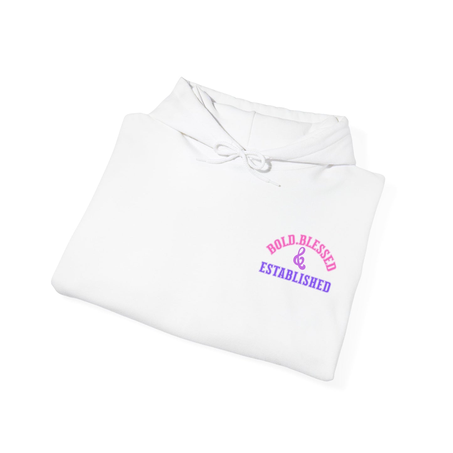 Bold Blessed & Established Christian Hoodie - Multi Varsity Font (Unisex)