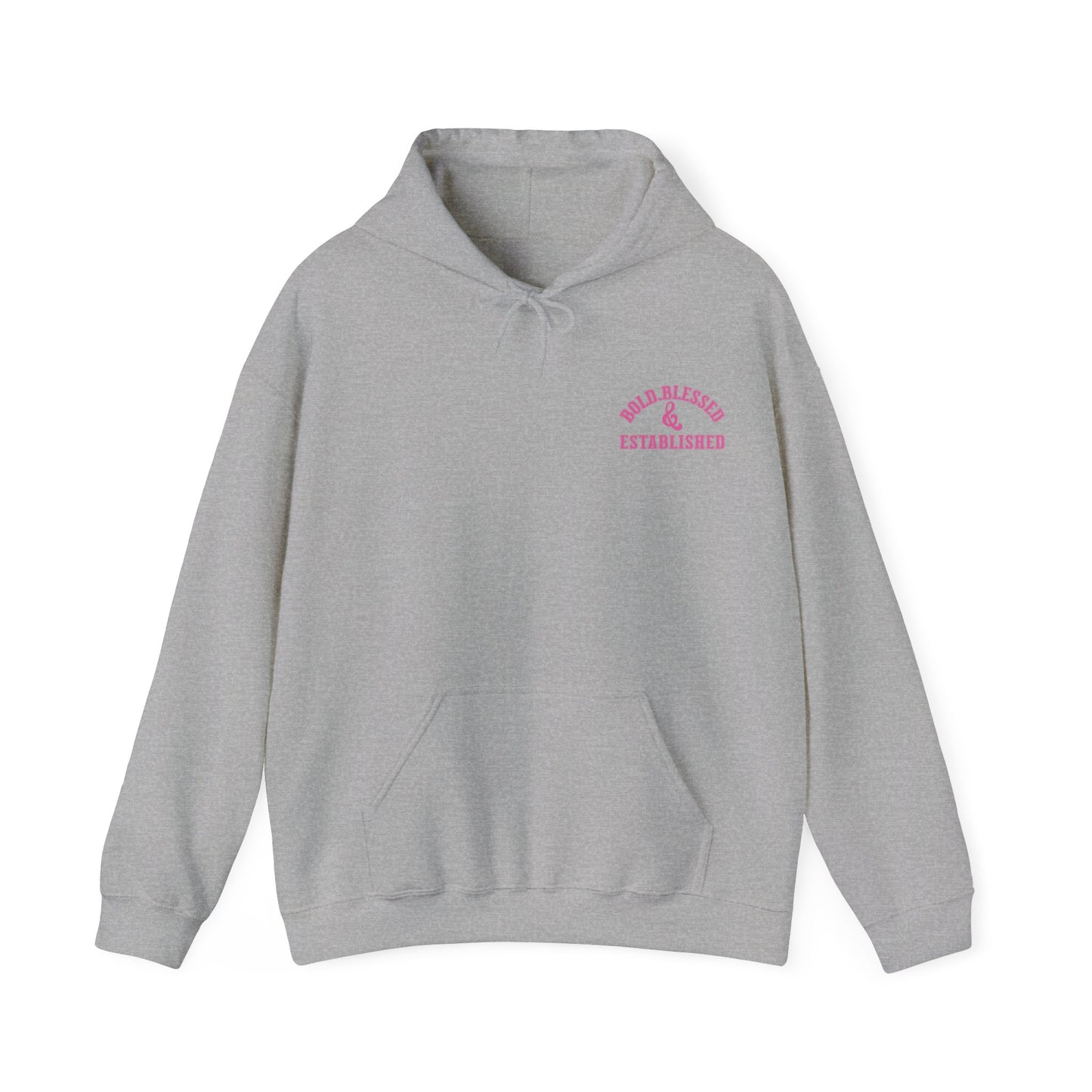 Bold Blessed & Established Christian Hoodie - Pink Varsity Font (Unisex)