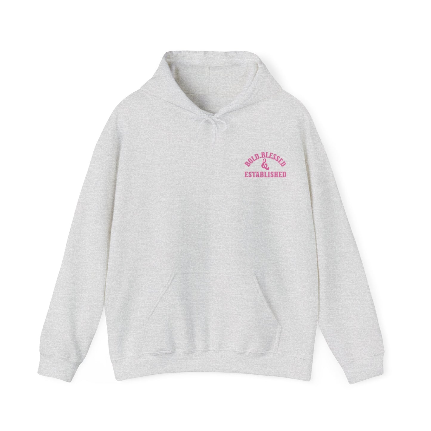Bold Blessed & Established Christian Hoodie - Pink Varsity Font (Unisex)