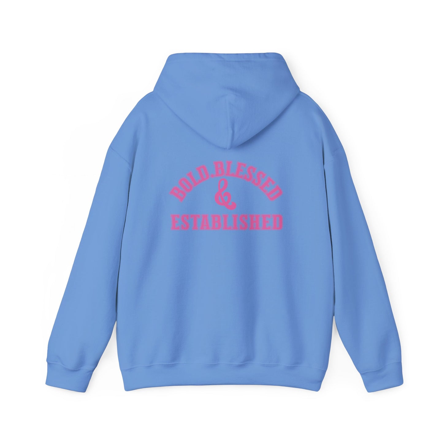 Bold Blessed & Established Christian Hoodie - Pink Varsity Font (Unisex)
