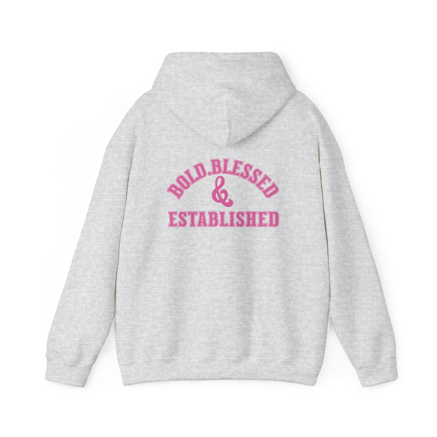 Bold Blessed & Established Christian Hoodie - Pink Varsity Font (Unisex)