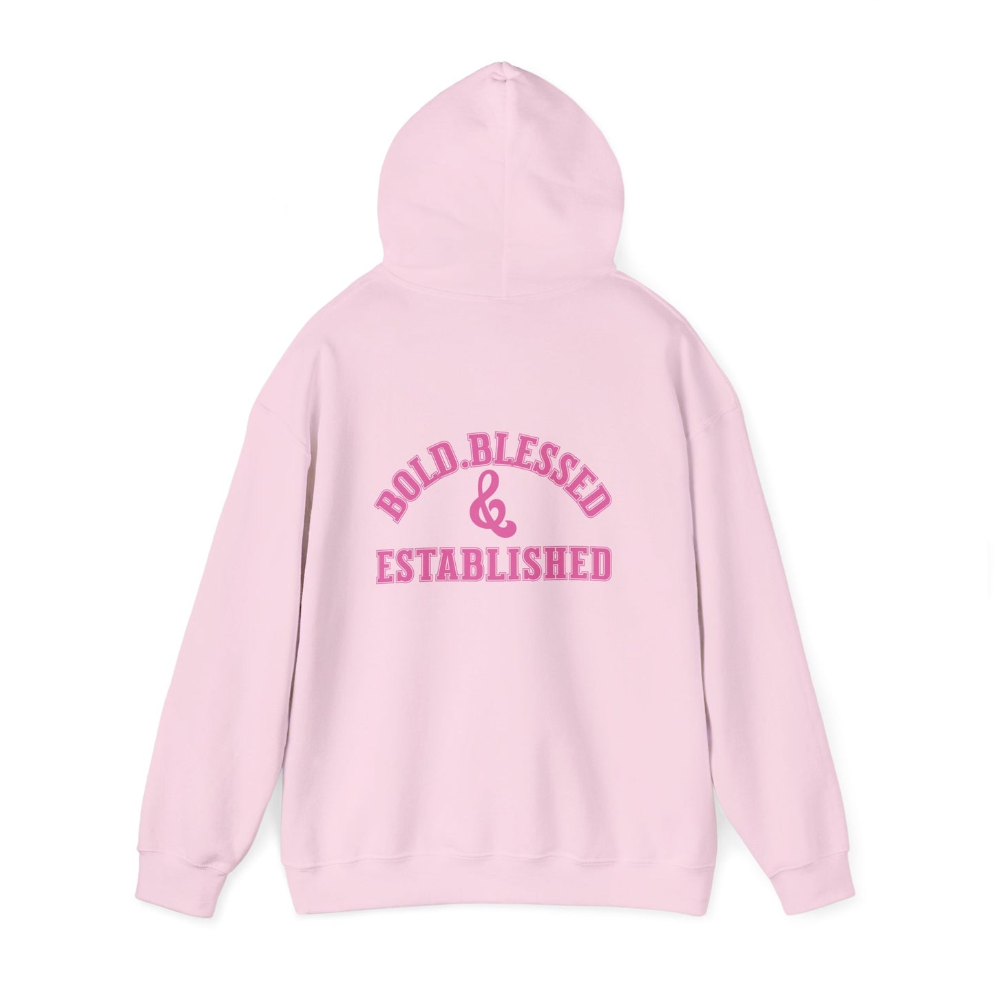 Bold Blessed & Established Christian Hoodie - Pink Varsity Font (Unisex)
