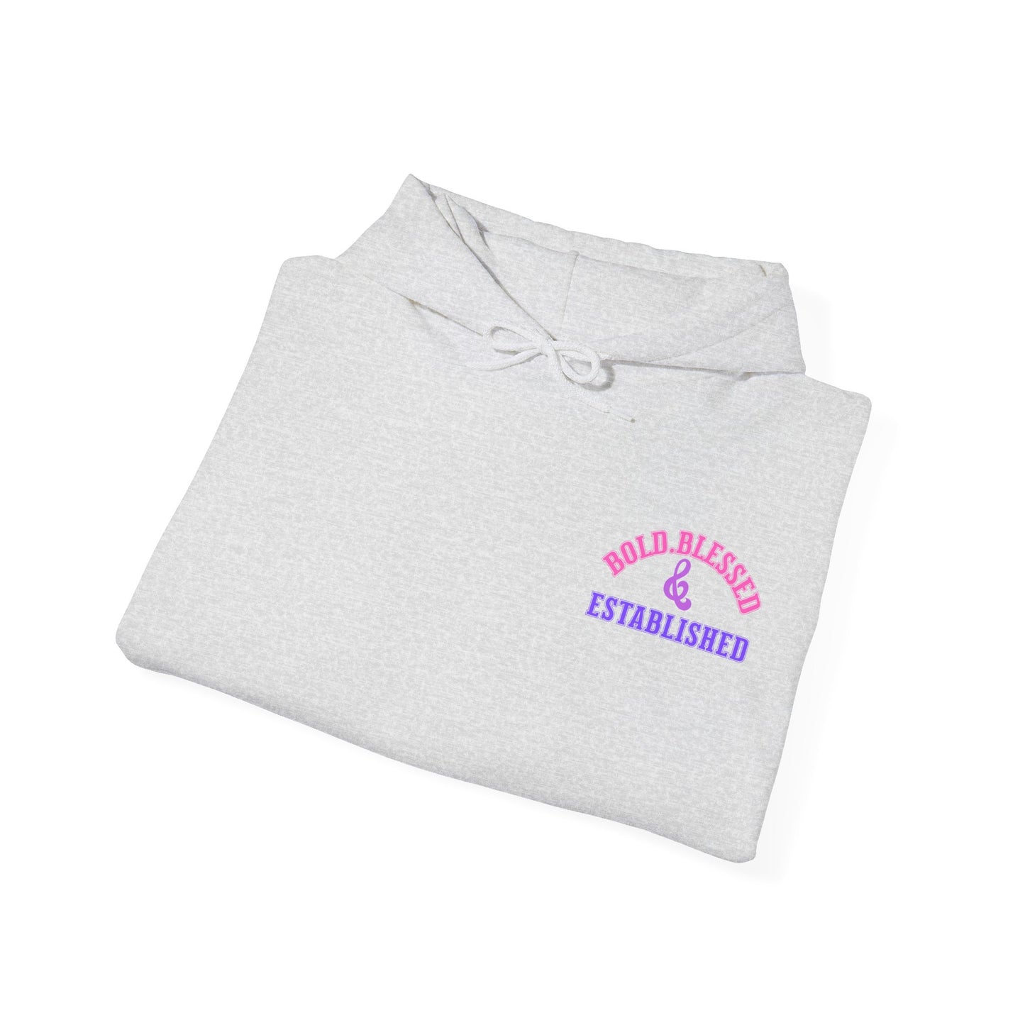 Bold Blessed & Established Christian Hoodie - Multi Varsity Font (Unisex)