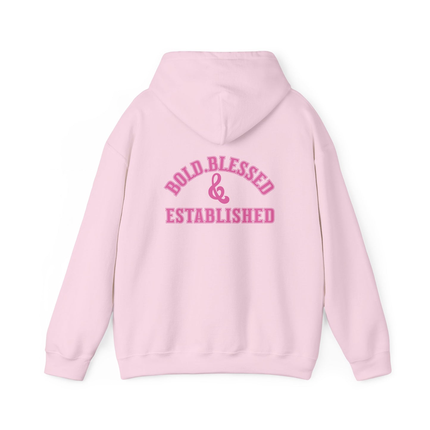 Bold Blessed & Established Christian Hoodie - Pink Varsity Font (Unisex)