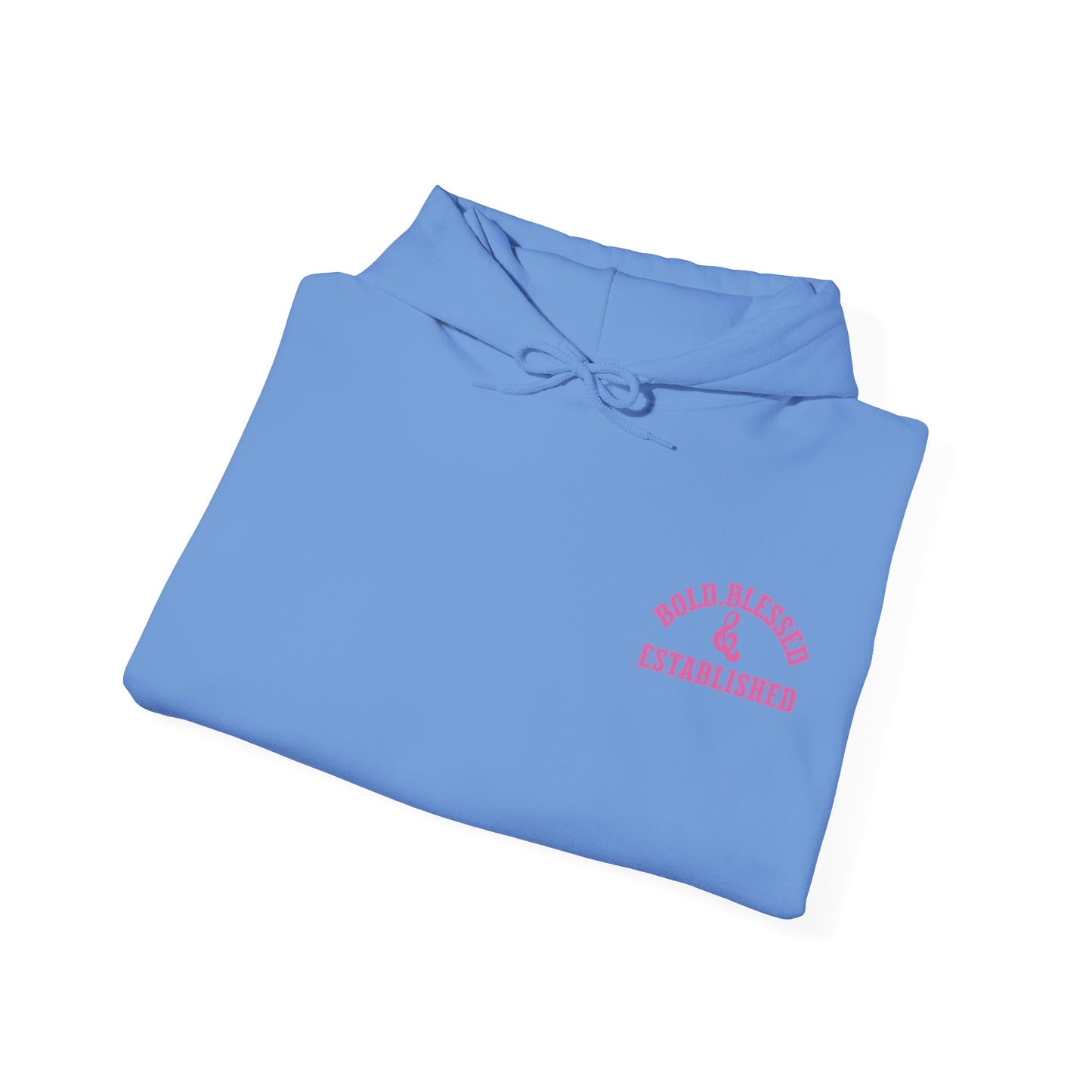 Bold Blessed & Established Christian Hoodie - Pink Varsity Font (Unisex)