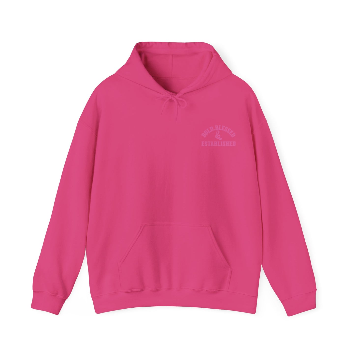Bold Blessed & Established Christian Hoodie - Pink Varsity Font (Unisex)