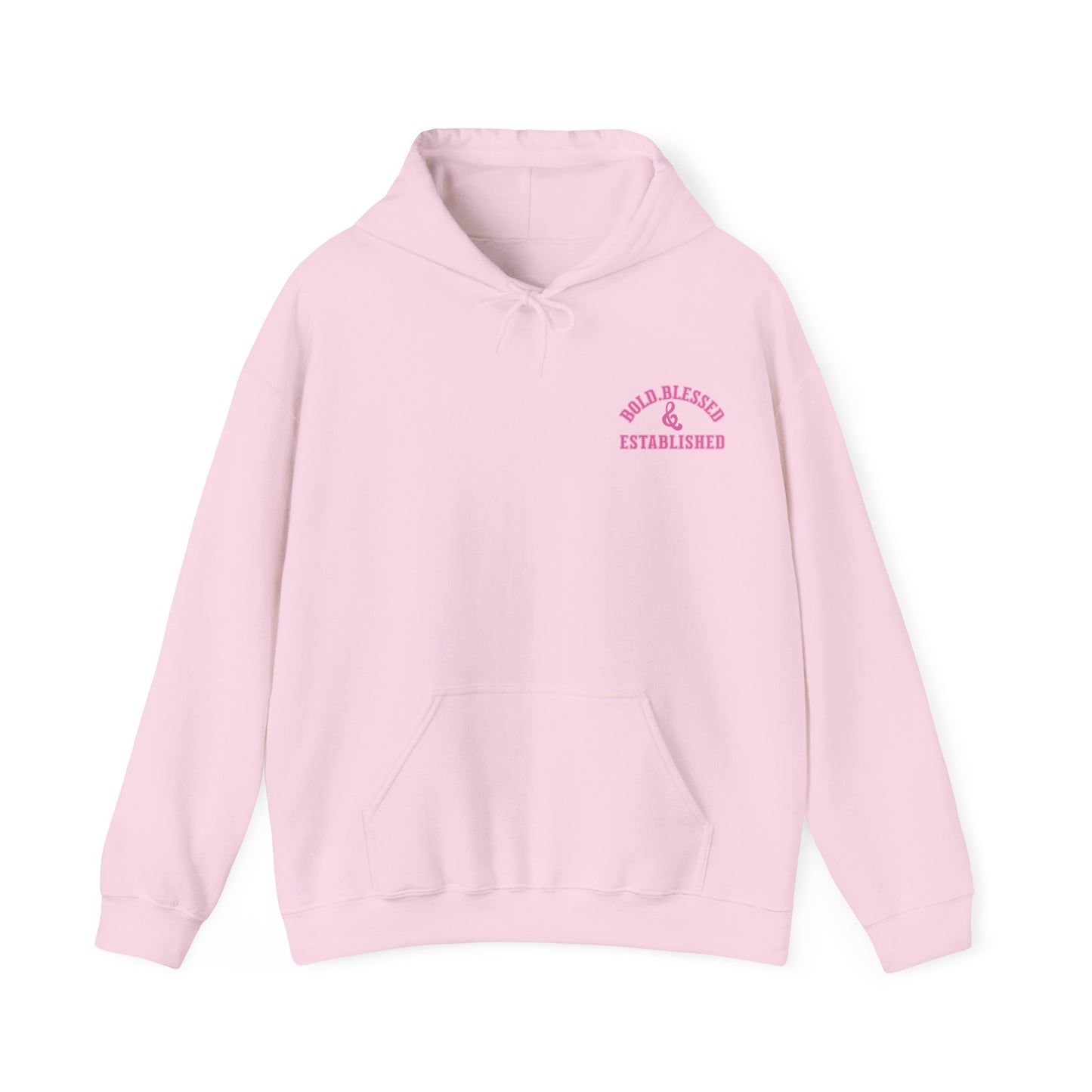 Bold Blessed & Established Christian Hoodie - Pink Varsity Font (Unisex)