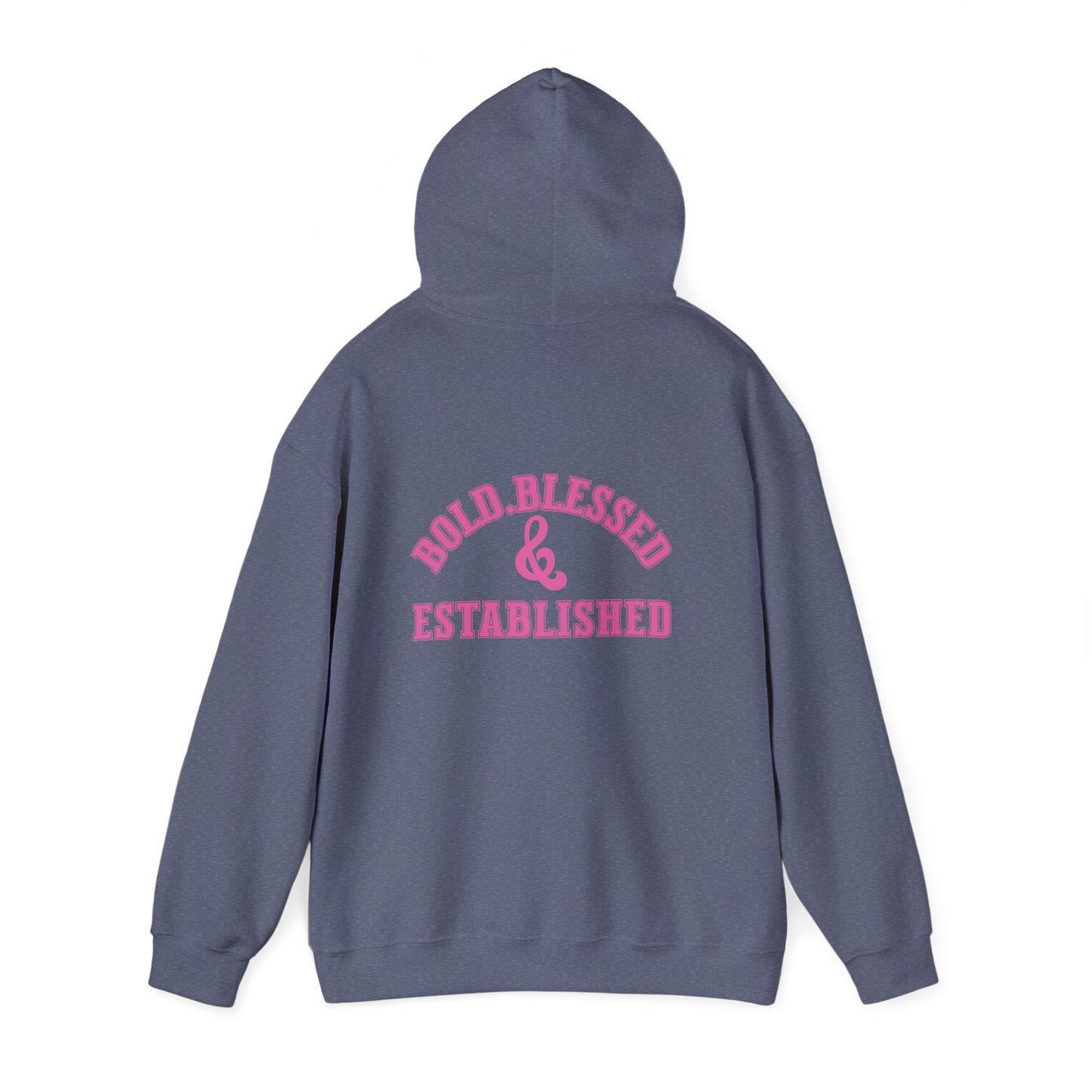 Bold Blessed & Established Christian Hoodie - Pink Varsity Font (Unisex)