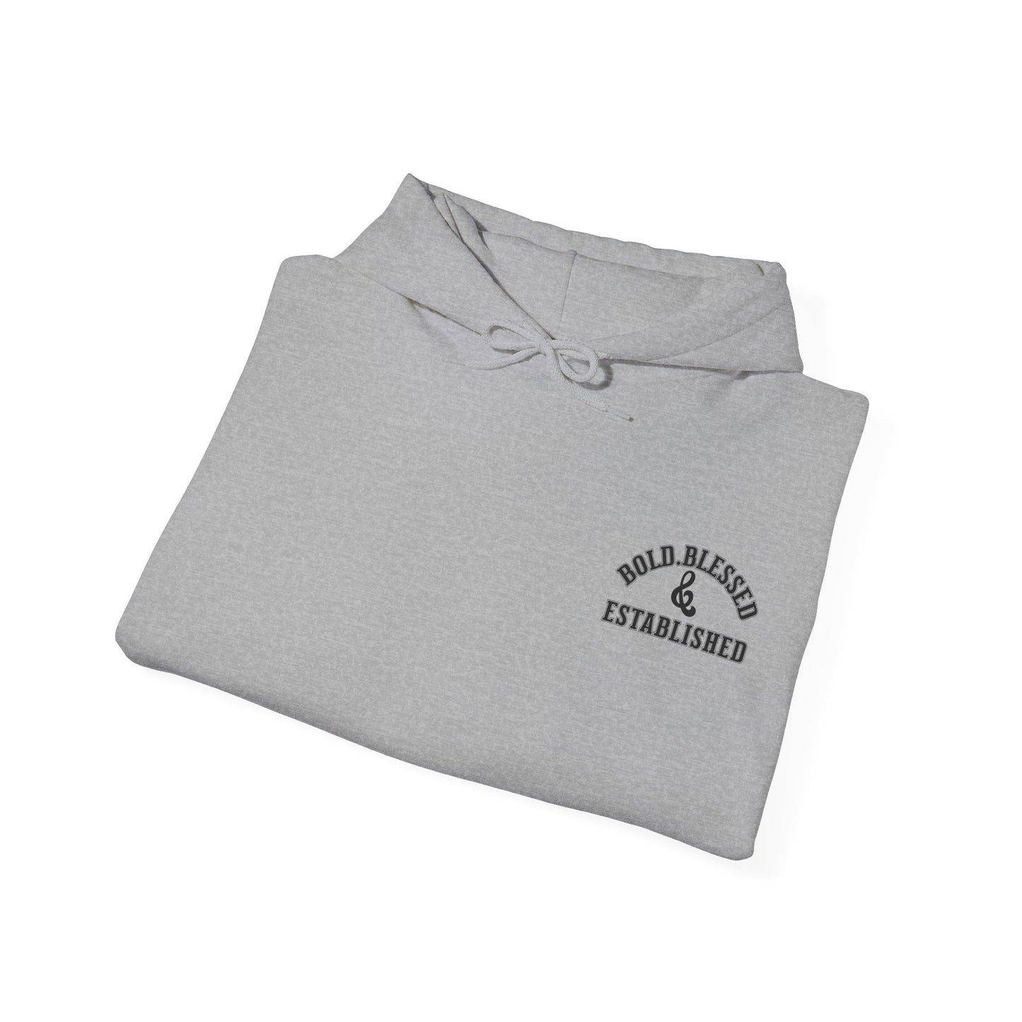 Bold Blessed & Established Christian Hoodie - Varsity Font (Unisex)