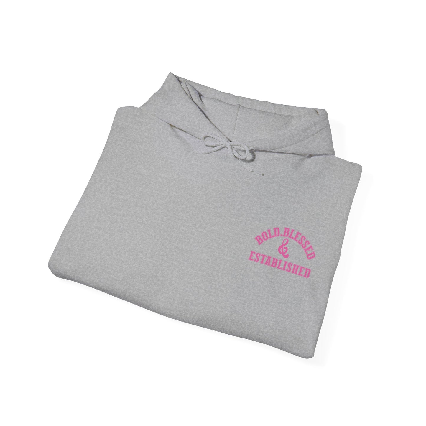 Bold Blessed & Established Christian Hoodie - Pink Varsity Font (Unisex)