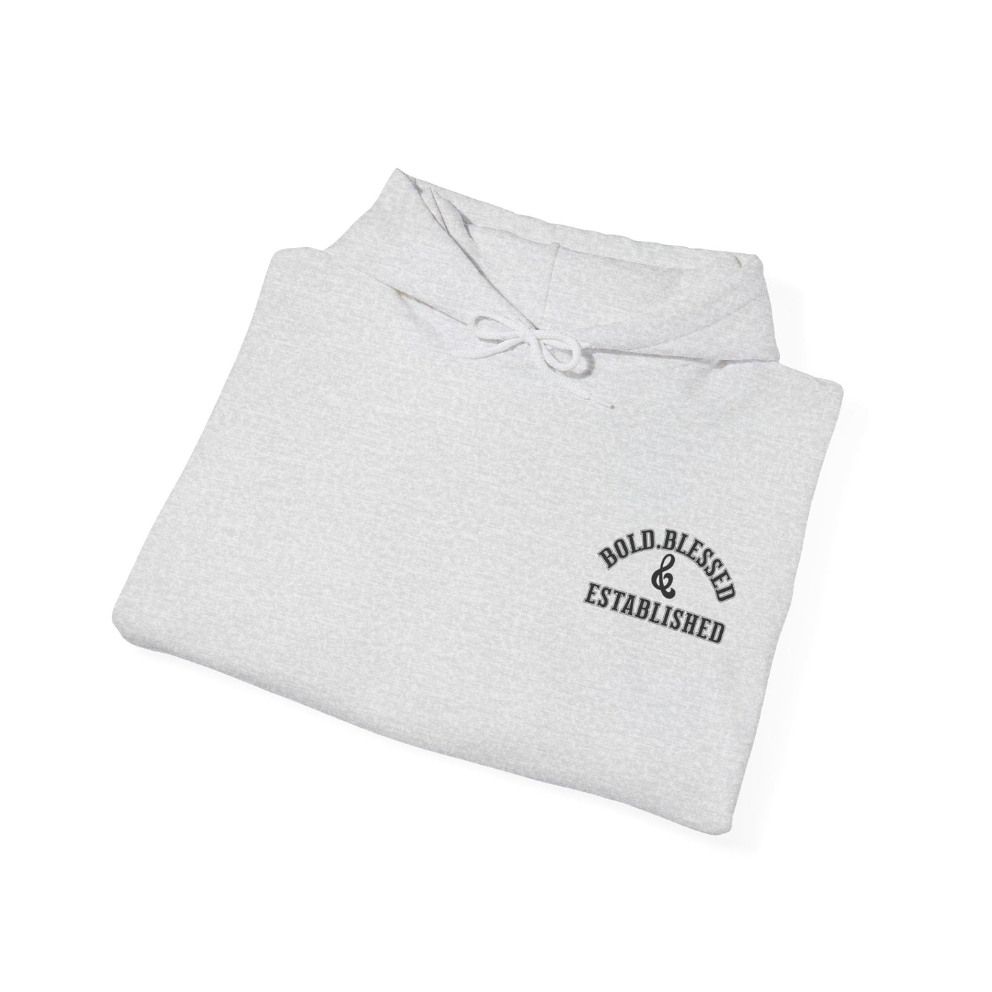 Bold Blessed & Established Christian Hoodie - Varsity Font (Unisex)