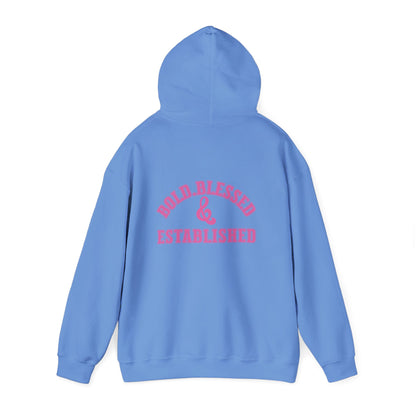 Bold Blessed & Established Christian Hoodie - Pink Varsity Font (Unisex)