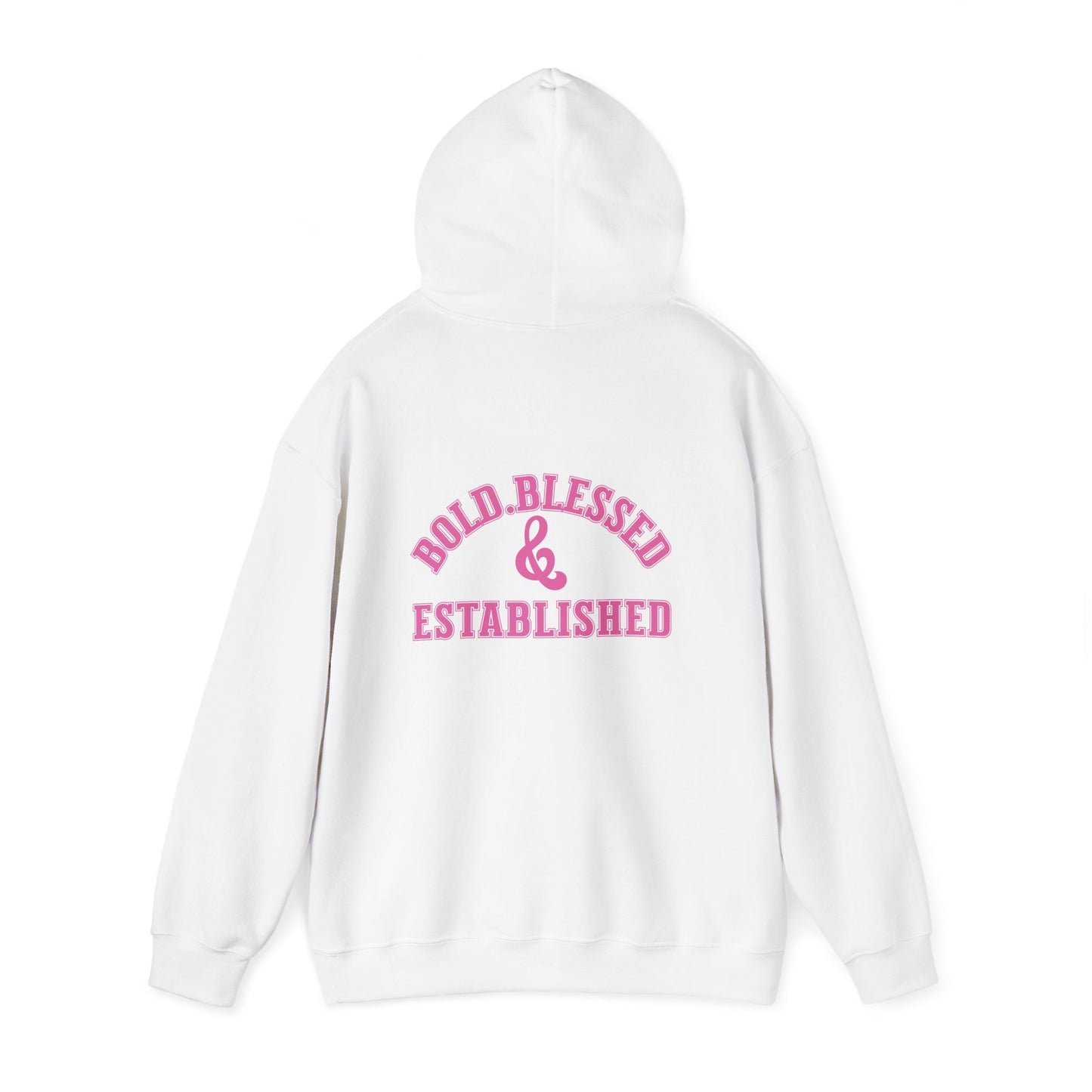 Bold Blessed & Established Christian Hoodie - Pink Varsity Font (Unisex)
