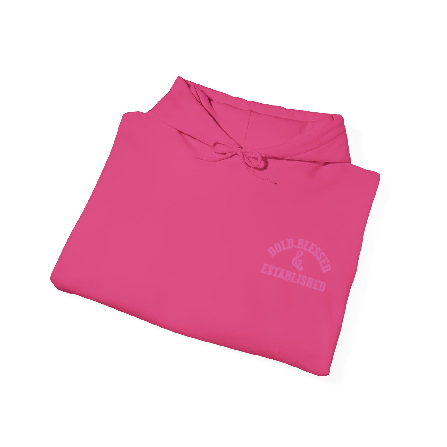 Bold Blessed & Established Christian Hoodie - Pink Varsity Font (Unisex)