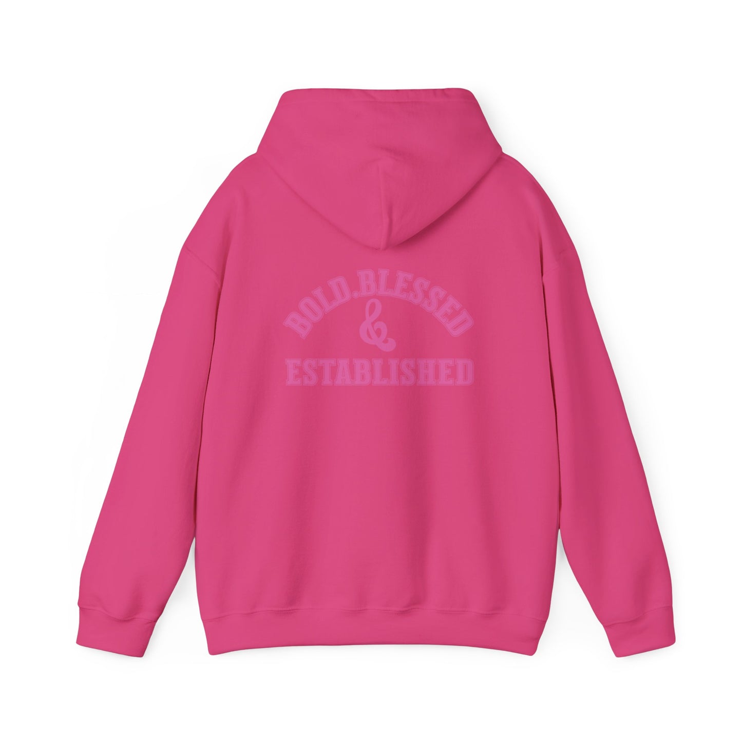 Bold Blessed & Established Christian Hoodie - Pink Varsity Font (Unisex)