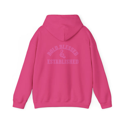Bold Blessed & Established Christian Hoodie - Pink Varsity Font (Unisex)