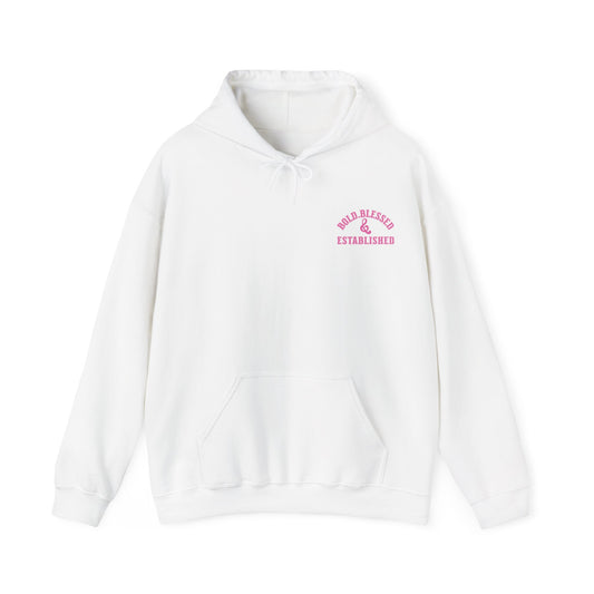 Bold Blessed & Established Christian Hoodie - Pink Varsity Font (Unisex)