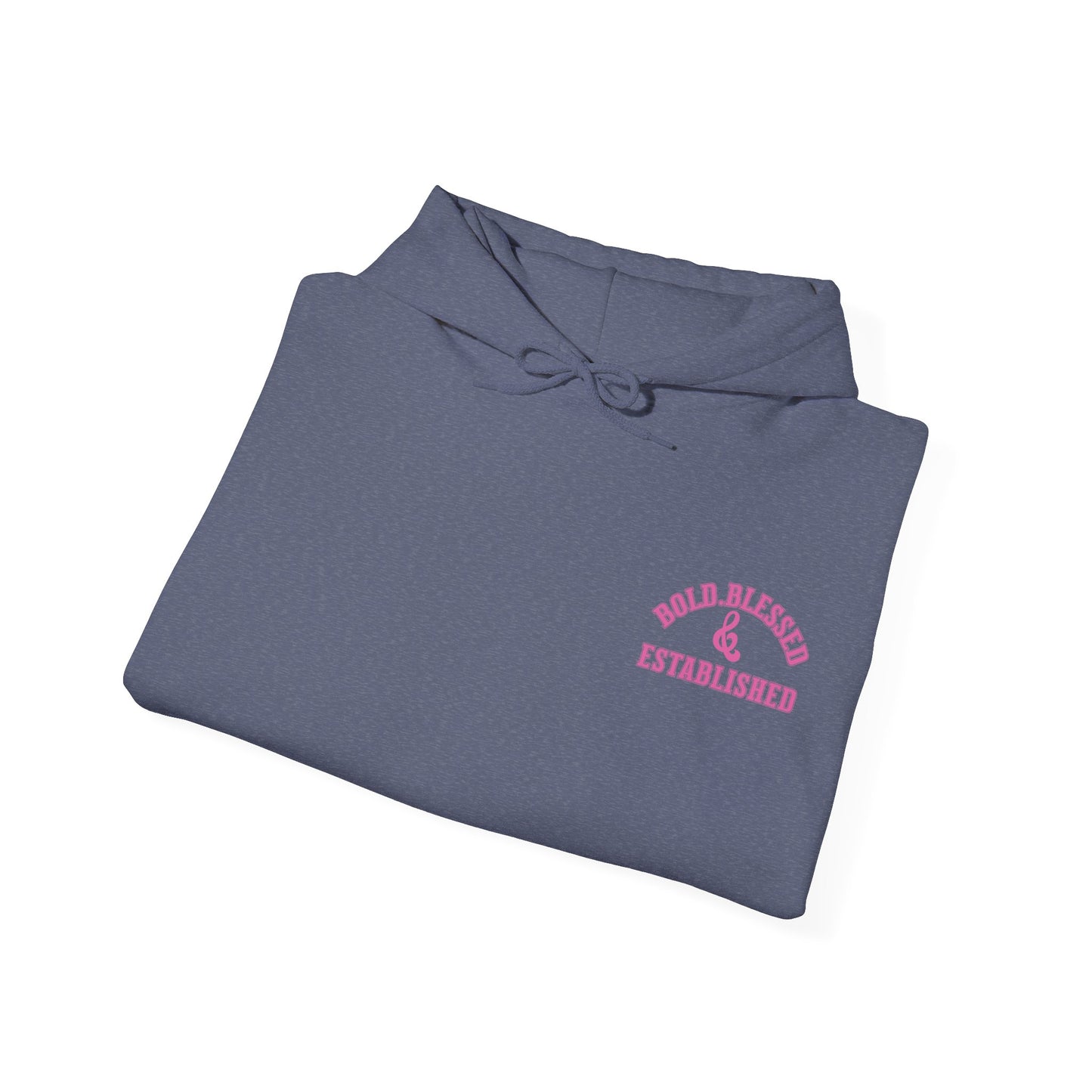 Bold Blessed & Established Christian Hoodie - Pink Varsity Font (Unisex)