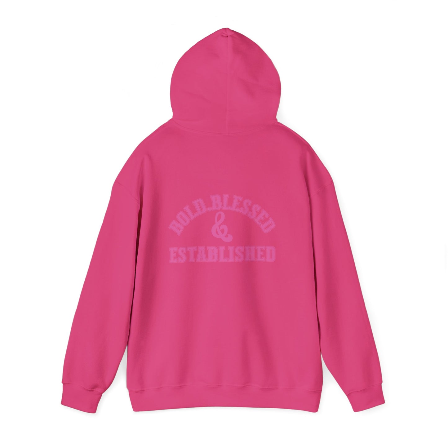 Bold Blessed & Established Christian Hoodie - Pink Varsity Font (Unisex)