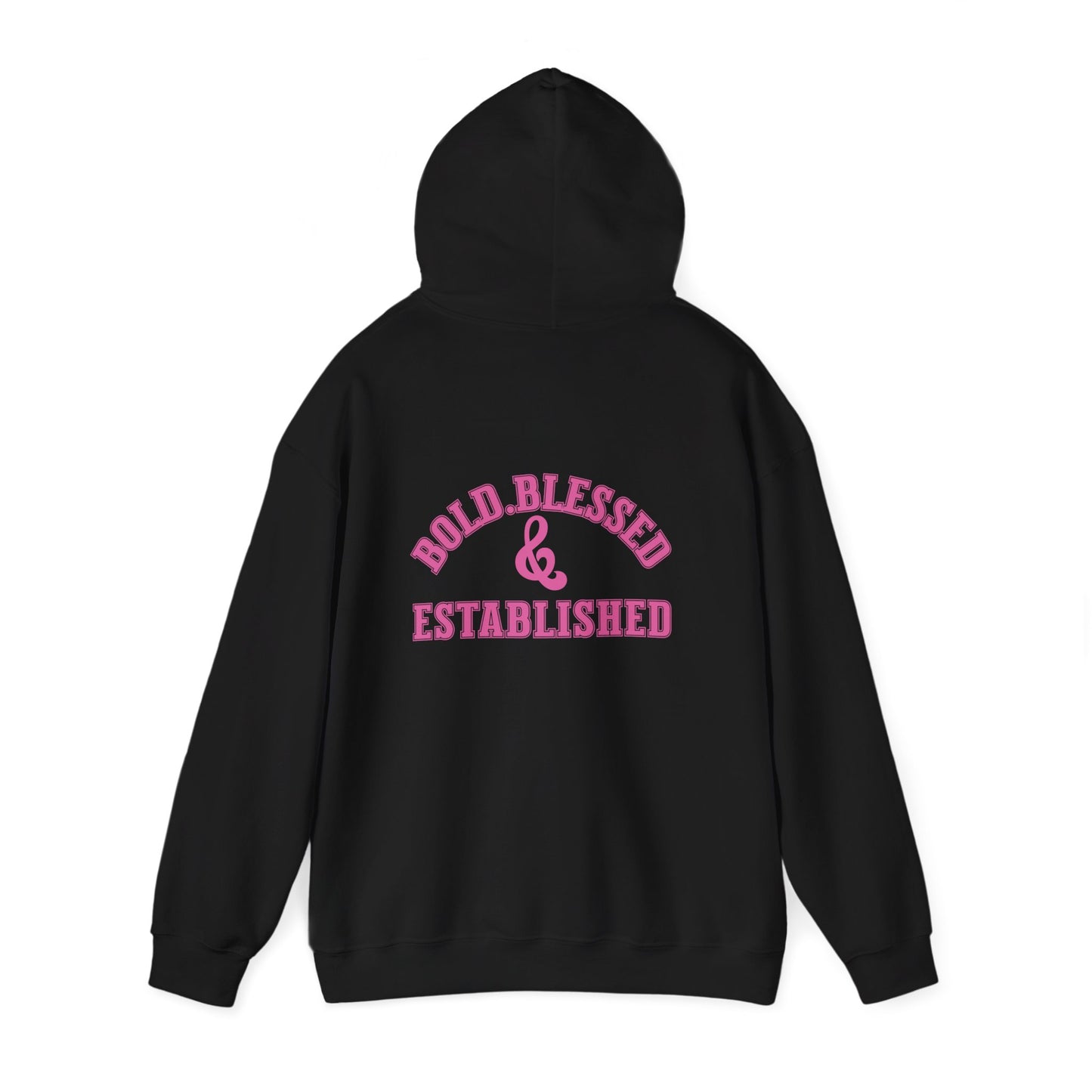 Bold Blessed & Established Christian Hoodie - Pink Varsity Font (Unisex)