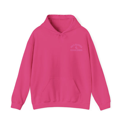 Bold Blessed & Established Christian Hoodie - Pink Varsity Font (Unisex)