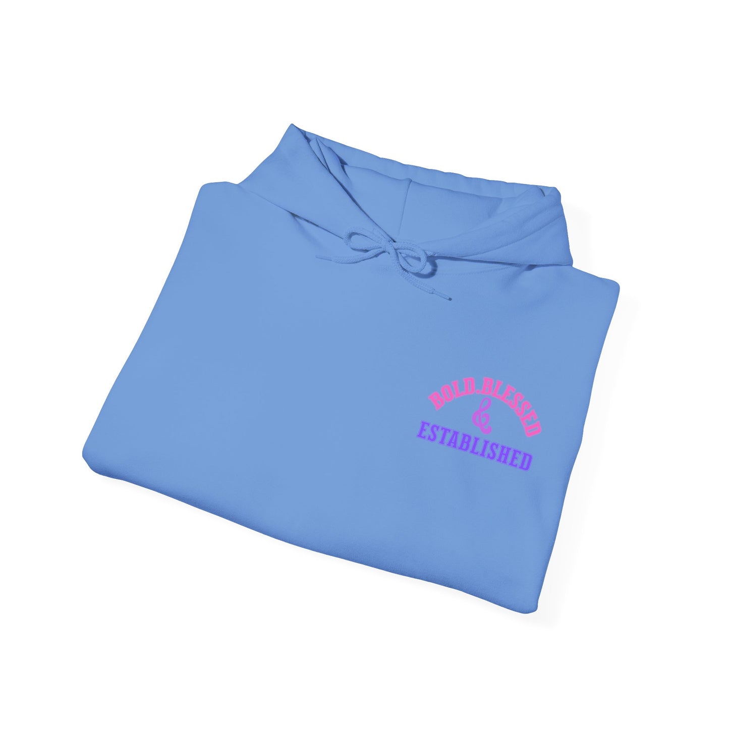 Bold Blessed & Established Christian Hoodie - Multi Varsity Font (Unisex)