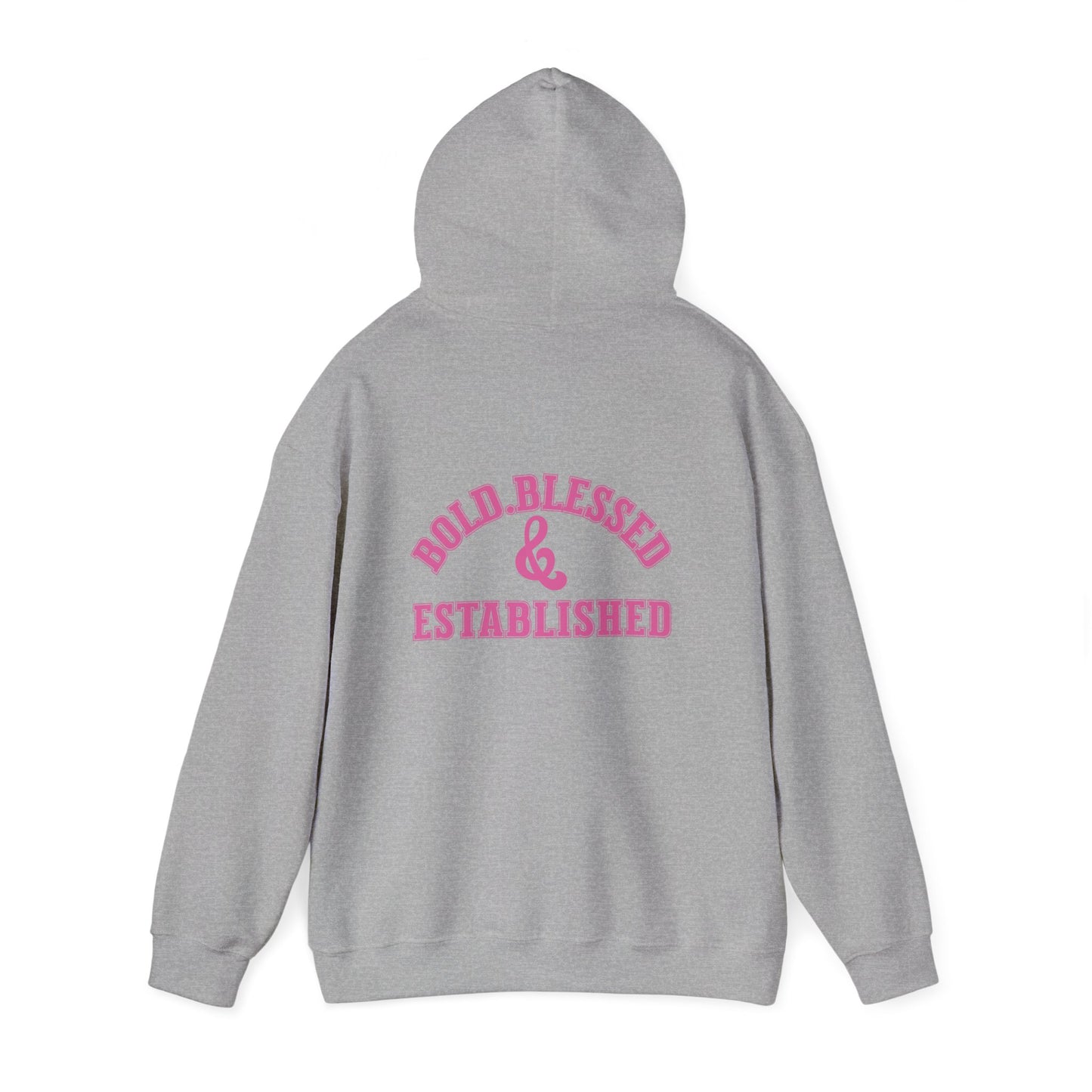 Bold Blessed & Established Christian Hoodie - Pink Varsity Font (Unisex)