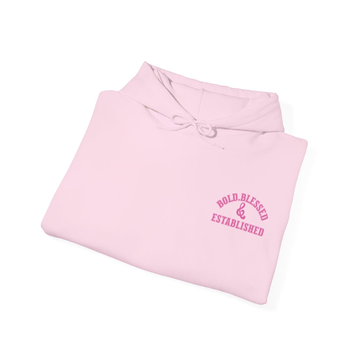 Bold Blessed & Established Christian Hoodie - Pink Varsity Font (Unisex)